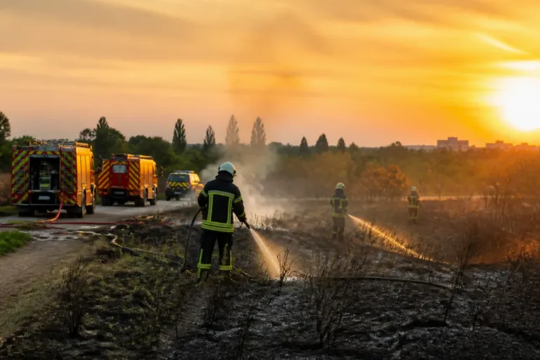 Colmar : feu de végétation de 8 hectares maîtrisé mardi soir