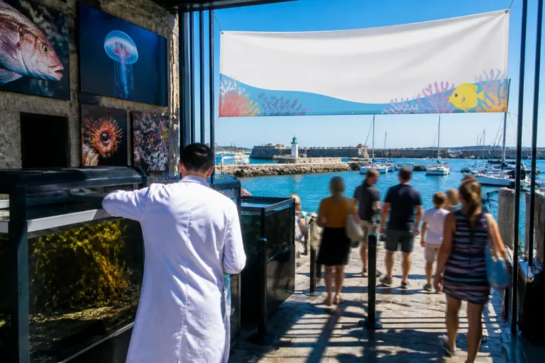 Concarneau: le Marinarium rouvre ses portes, un été sauvé grâce aux chercheurs