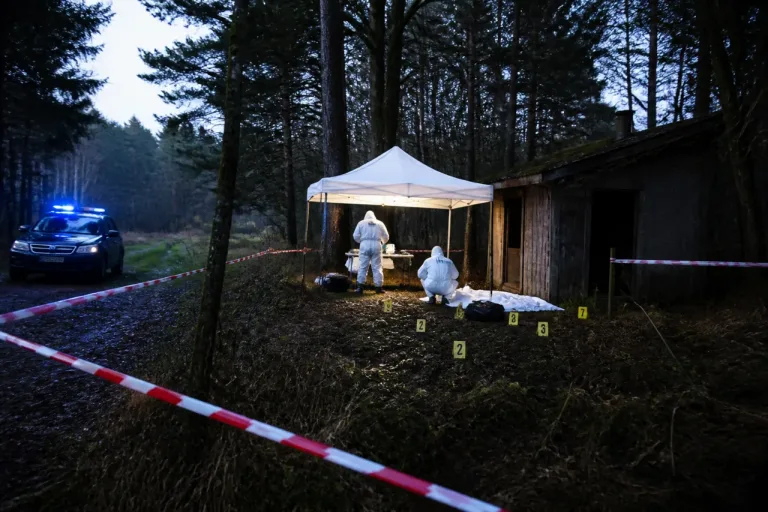 Corps d’un septuagénaire découvert à Éloyes : information judiciaire pour assassinat