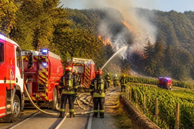 Côte-d'Or : cinq feux simultanés mobilisent 192 sapeurs‑pompiers, la situation reste tendue