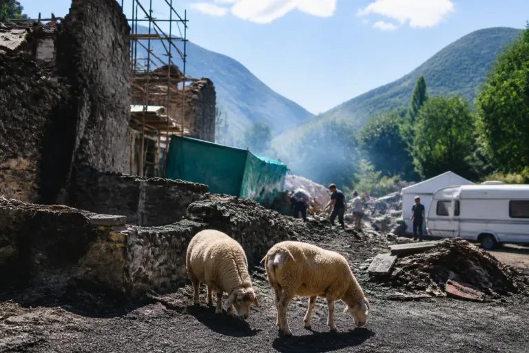 Coustouge, un an après le méga-feu : reconstruire quand tout a brûlé