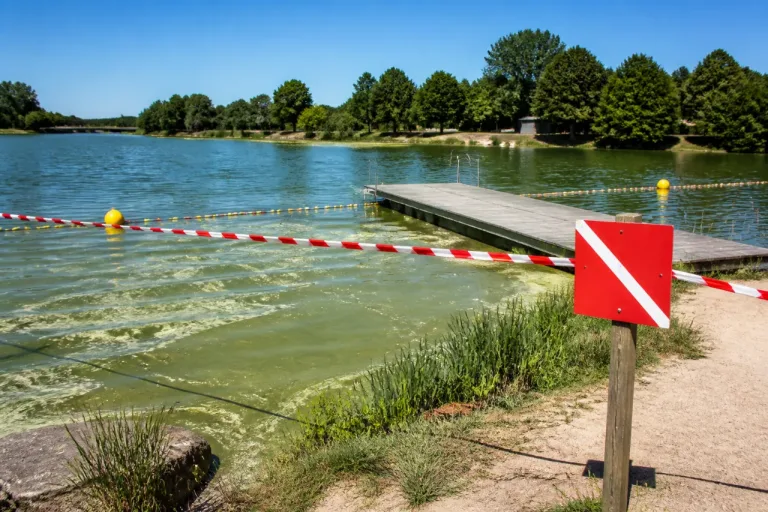 Cyanobactéries: fermetures en chaîne des plans d'eau en Mayenne, prudence cet été