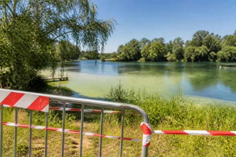 Cyanobactéries: quatre baignades fermées dans la Vienne, la surveillance renforcée