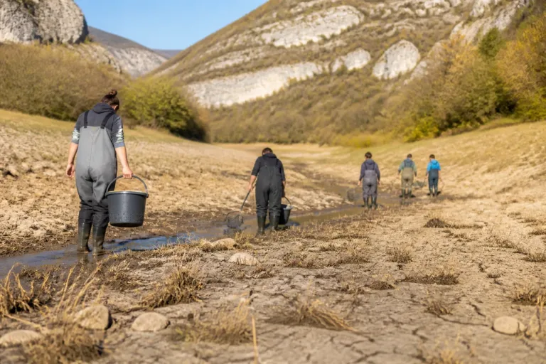 Dans le Doubs, bénévoles et fédération s'activent pour sauver les alevins de truite face à la sécheresse