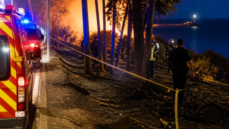 Deux gardes à vue après une vague d'incendies de sous-bois à Vannes et Larmor-Plage