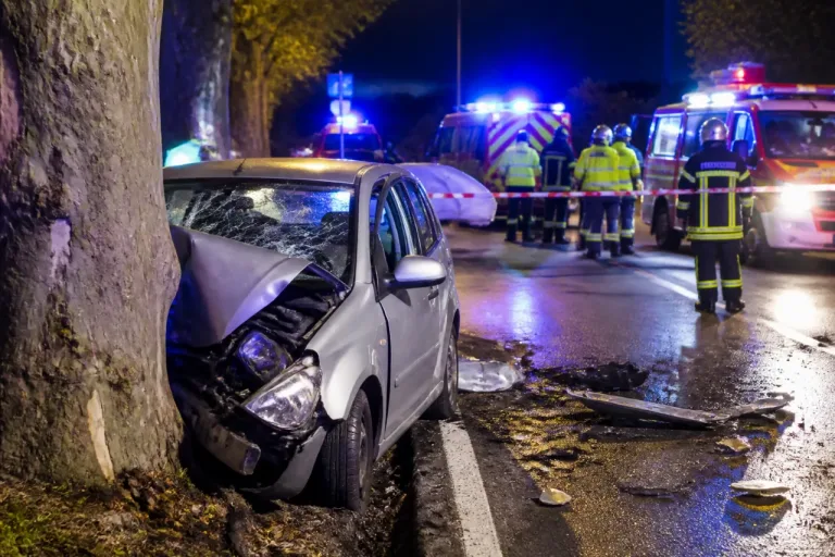Deux jeunes de 19 ans tués dans un violent choc contre un platane près de Nancy