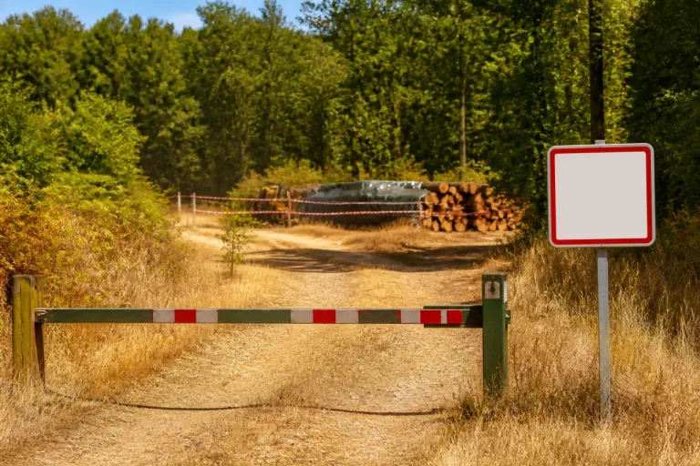 Deux-Sèvres : restrictions d'accès et de travaux en forêt prolongées jusqu'au 15 juillet
