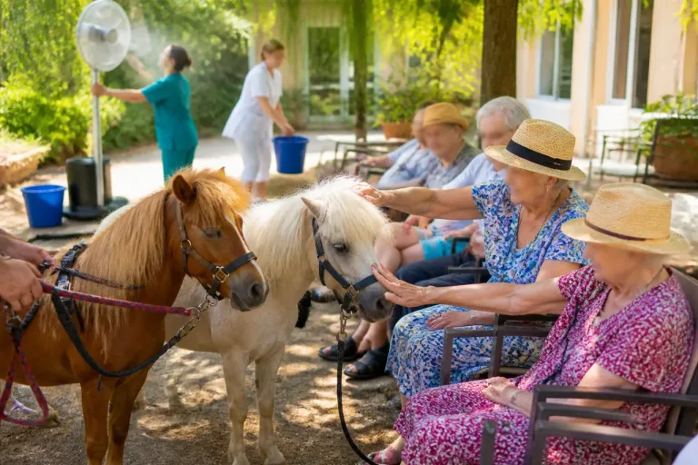 Digne-les-Bains : des poneys apportent fraîcheur et réconfort aux résidents de l’Ehpad