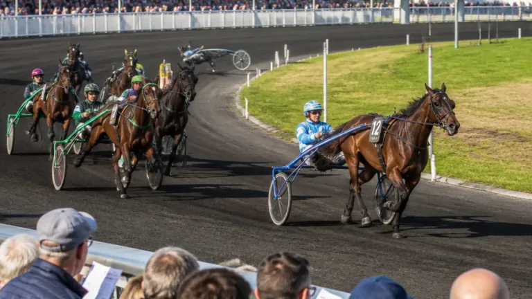 Drancy à Vincennes : retour sur le Prix de Drancy et les performances des partants