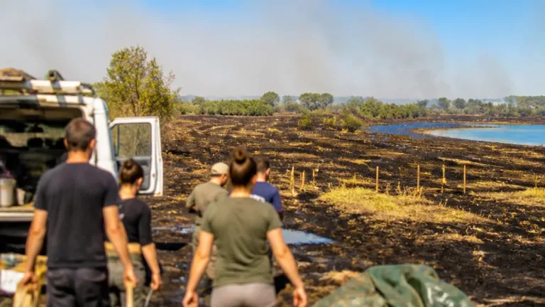En Brenne, le souvenir des flammes et un élan de solidarité qui perdure