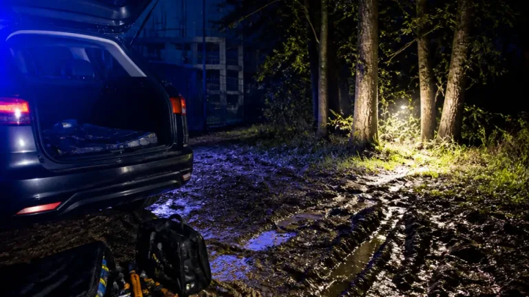 Enlevé puis menacé de mort en forêt du 93 : deux hommes condamnés, la victime s'en tire grâce à son sang‑froid