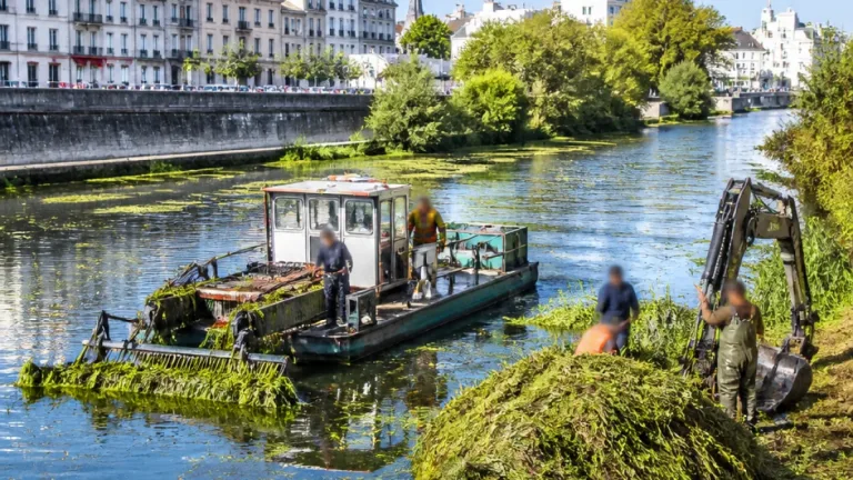 Entretien du canal de Marans‑La Rochelle : pourquoi le faucardage est indispensable à La Rochelle