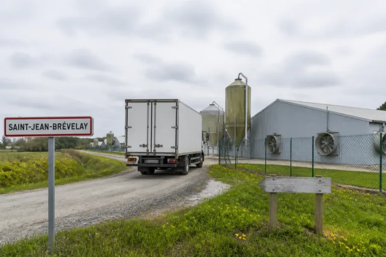 Face à la demande, la SBV veut créer « dix élevages de poulets par an » dans le Morbihan