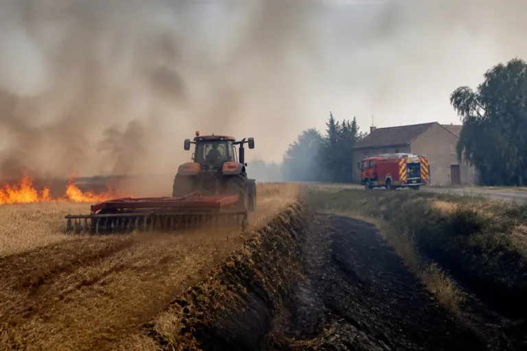 Feu de blé à Saint-Nicolas-de-la-Grave : un voisin trace un pare-feu et sauve une maison