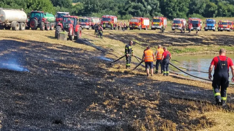 Feu de champ à Bais : sept hectares partis en fumée, les secours maintiennent une surveillance renforcée