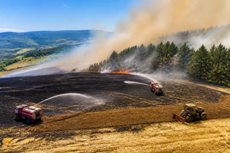 Feu de chaumes à Béon: dix hectares brûlés, la lisière de forêt frôlée