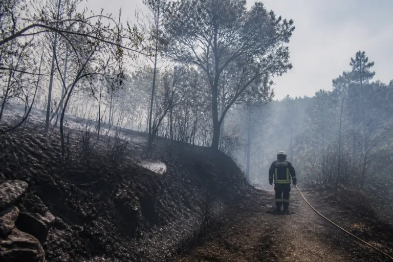 Feu de forêt à Busséol: l’incendie éteint dans la nuit, journée à risques dans le 63