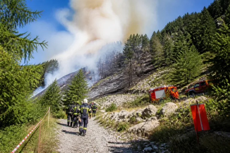 Feu de forêt au Planay : les secours en vigilance après un nouvel épisode de fumées