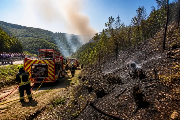 Feu de forêt maîtrisé entre Vuillafans et Échevannes : quatre hectares partis en fumée