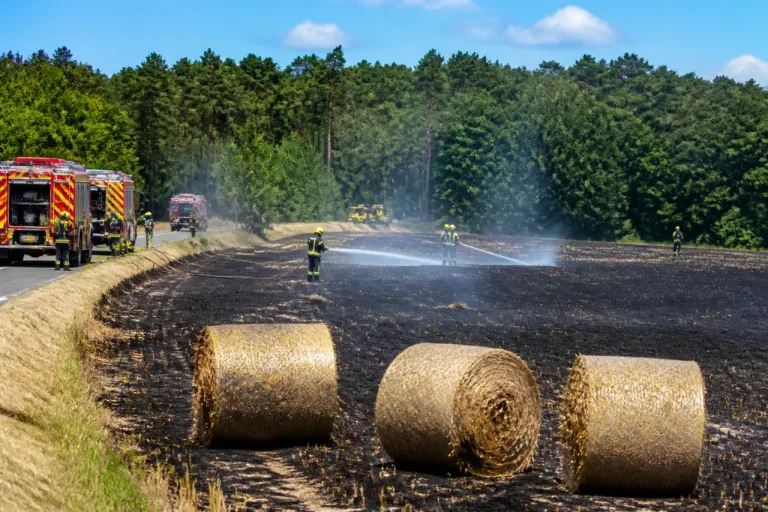 Feu de moisson à Bazolles : 15 hectares détruits, les pompiers évitent la forêt