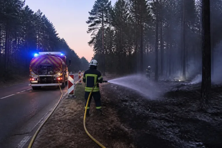 Feu de pinède à Mayet: 5 000 m² touchés, 21 pompiers mobilisés sur la RD 30