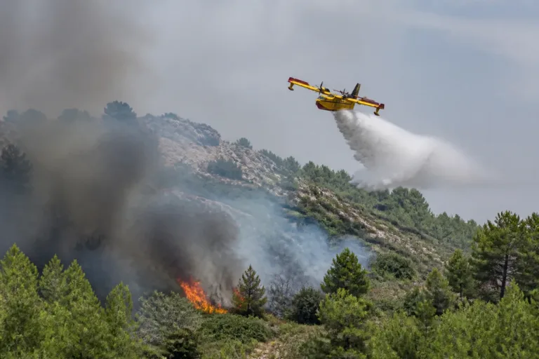 Feu de végétation à Lançon‑Provence : 6 hectares parcourus, moyens aériens mobilisés