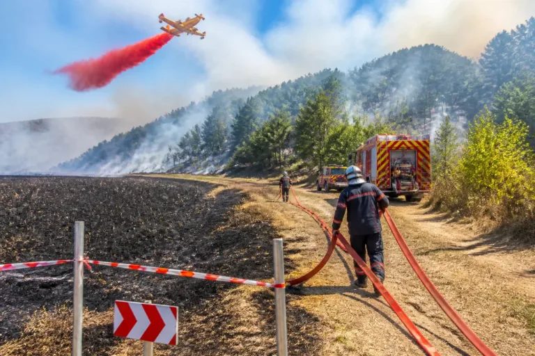 Feu de végétation à Langeac: 50 hectares brûlés, le risque reste élevé