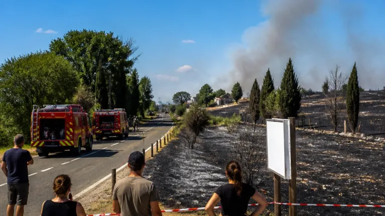 Feu près d’Arles maîtrisé : point sur l’intervention et le périmètre impacté