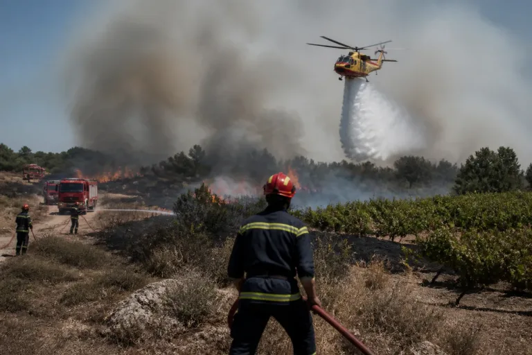 Feux à Meynes, Uzès et Pujaut : journée à haut risque dans le Gard