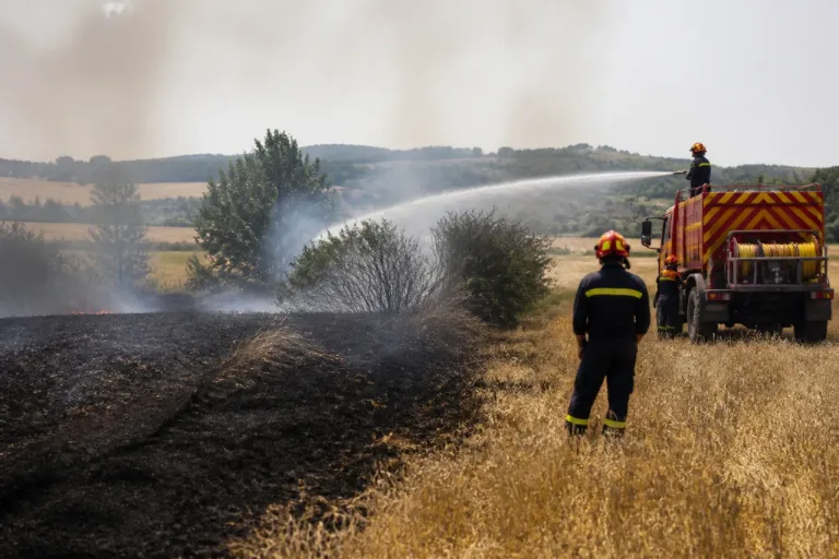 Feux d’espaces naturels en Puisaye : 19 hectares ravagés, vigilance de rigueur