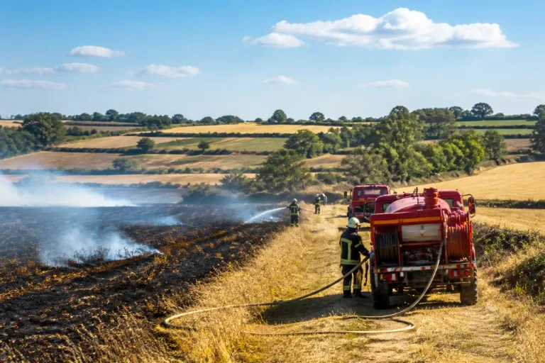 Feux de culture dans le pays de Ploërmel : 25 hectares ravagés, 50 pompiers mobilisés