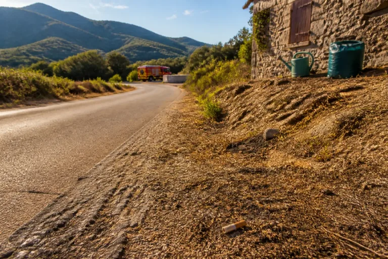 Feux de forêt en Haute-Corse : gestes simples pour réduire le risque cet été