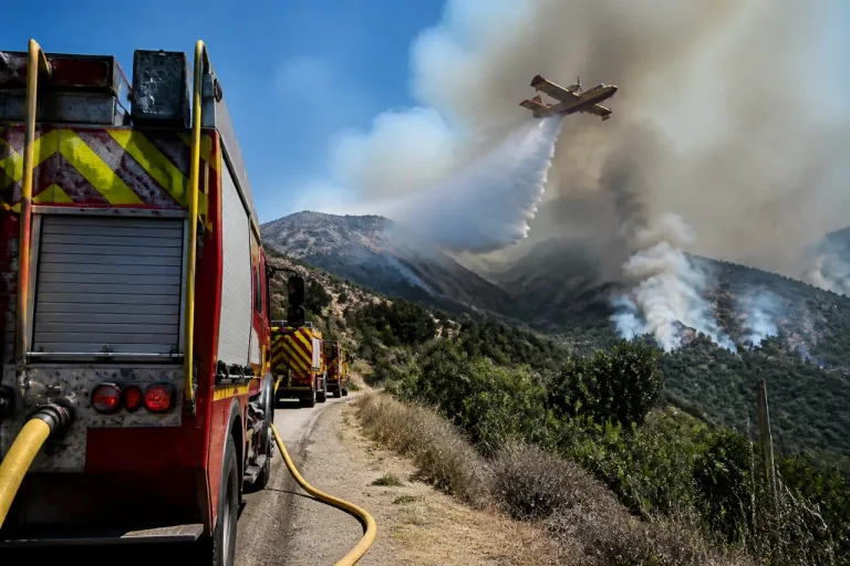 Feux de forêt en Haute-Corse : un dispositif jusqu’à 750 personnels mobilisables