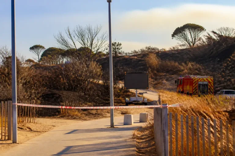 Feux de forêt: risque «très élevé» dans les P.-O., après des évacuations au bord de mer
