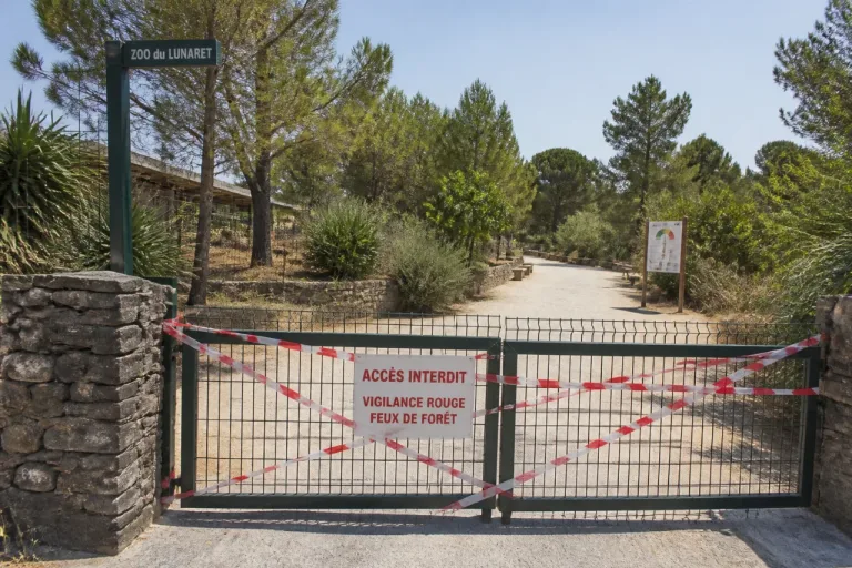 Feux de forêt : six secteurs en rouge dans l’Hérault, zoo du Lunaret fermé ce 1er juillet