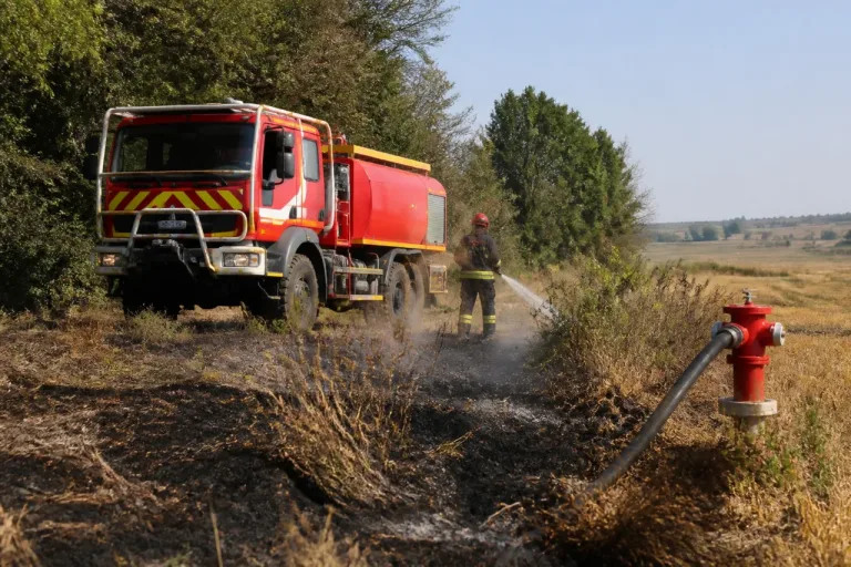 Feux de forêts plus précoces en Seine-Maritime : le Sdis 76 renforce sa préparation