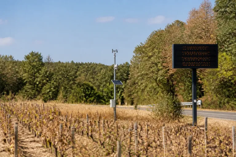 Feux de végétation : la Marne passe en jaune, mode d’emploi de la météo des forêts