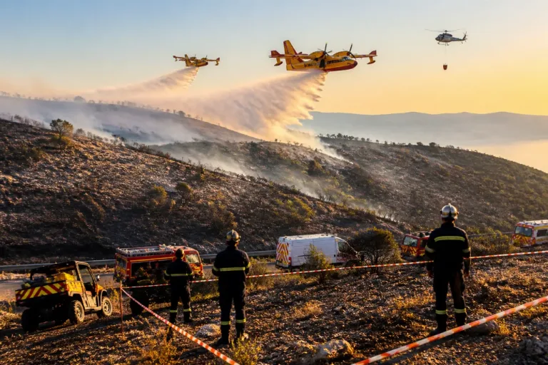 Feux en Corse‑du‑Sud : 50 hectares partis en fumée dans la Gravona, foyers éteints en Alta Rocca