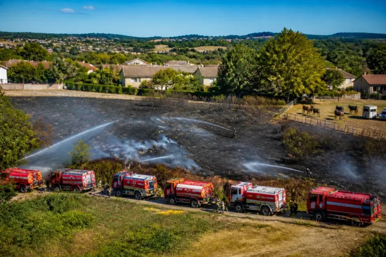 Feytiat : un feu de broussailles de 5 hectares maîtrisé après l'évacuation de 18 chevaux