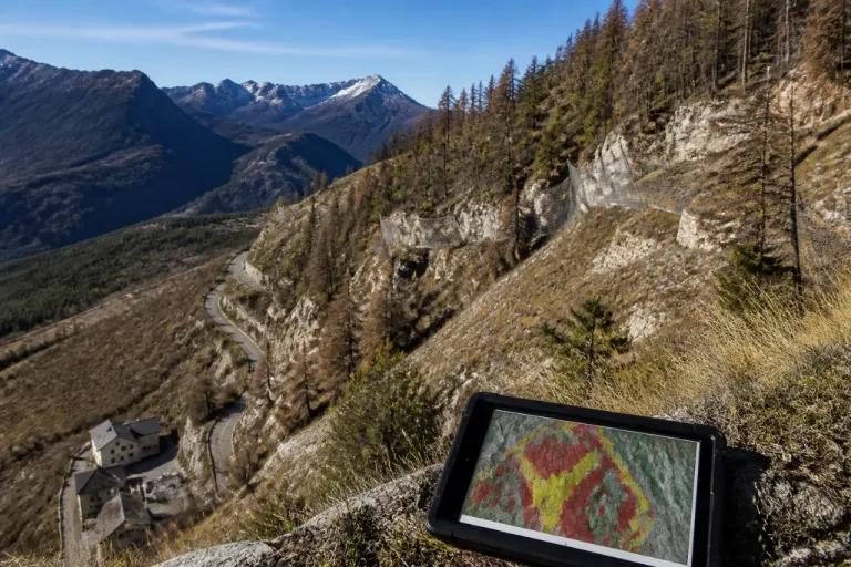 Forêts de protection fragilisées dans les Alpes du Sud : l’ONF cartographie l’urgence