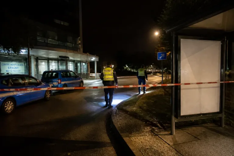 Haute-Savoie: appel à témoins après la disparition de deux enfants à Epagny