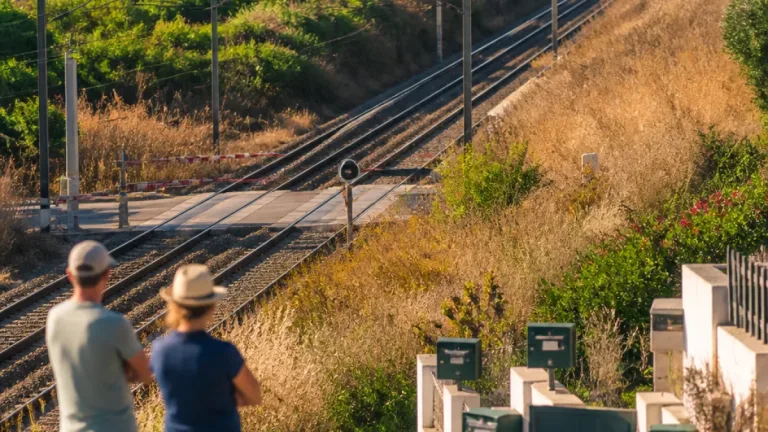 Herbes hautes le long des rails aux Sables-d’Olonne : la peur d’un départ de feu monte