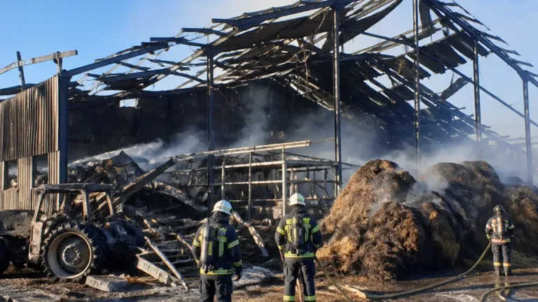 Incendie à Conques-en-Rouergue : 300 chèvres piégées dans un bâtiment agricole détruit