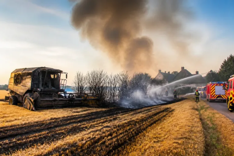 Incendie à Curcy‑sur‑Orne : au moins 5 hectares incendiés, 29 pompiers mobilisés