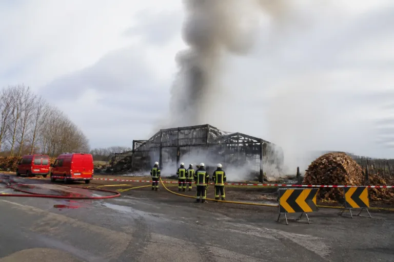 Incendie à la scierie de Mantenay-Montlin : gros moyens déployés, pas de blessé