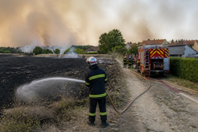 Incendie à La Séguinière: cinq hectares de chaume brûlés, 22 pompiers mobilisés