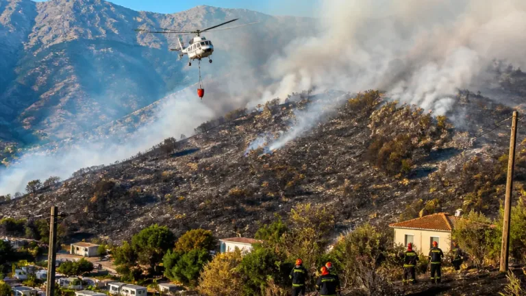 Incendie à Noceta : quatre hectares de maquis partis en fumée, 63 intervenants mobilisés