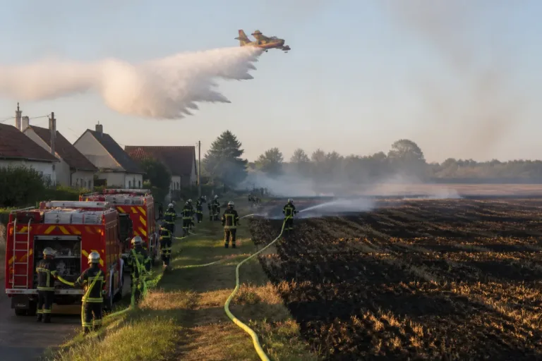 Incendie à Noyant-d’Allier: 21 hectares brûlés, des maisons préservées par une intervention massive