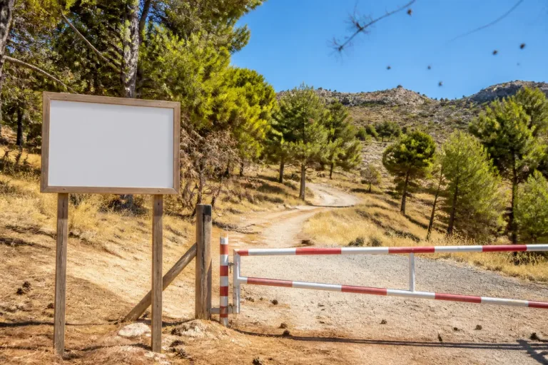 Incendie : accès interdit aux 25 massifs des Bouches‑du‑Rhône lors d’une journée « très sévère »