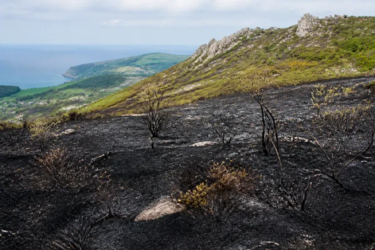 Incendie au Ménez Hom: alerte du Département sur un risque d’origine humaine